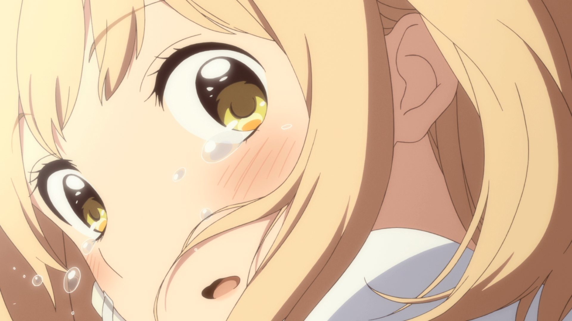 Kimi no Hikari: Asagao to Kase-san. (RabuSubs)